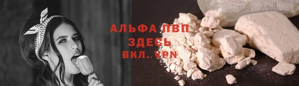 шишки Железноводск