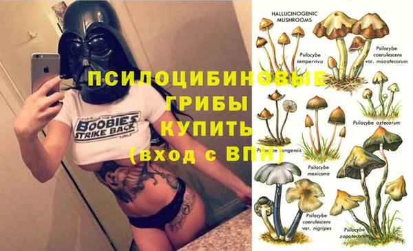 spice Абинск