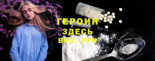 сатива Заполярный