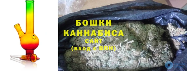 прущие грибы Абдулино