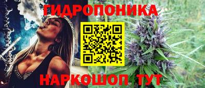 синтетический гашиш Заводоуковск