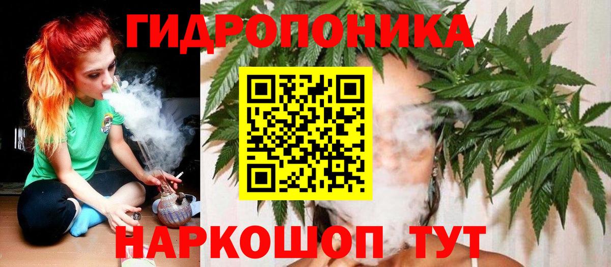 Бошки Шишки планчик Кудымкар